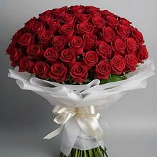 Букет 101 Красная роза Блэк Мэджик в Каладжинской