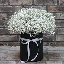 Цветочная композиция из Гипсофила в шляпной коробке #REPLACE_PRED# Каладжинской