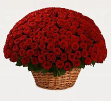 Премиум букет из: Розы в Каладжинской