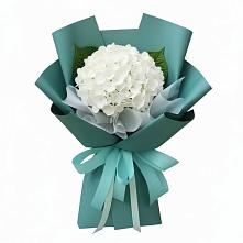 Букет цветов из:  Гортензия в Каладжинской